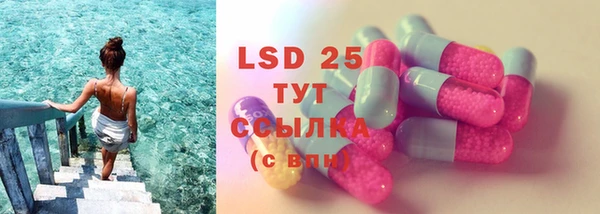 дживик Ельня