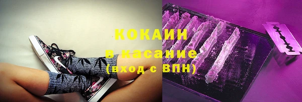 дживик Ельня