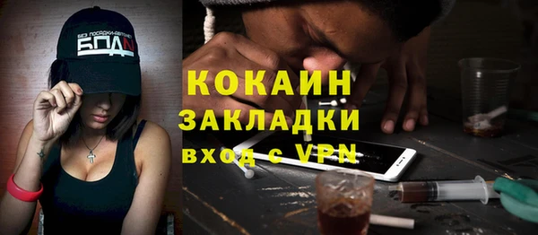 дживик Ельня