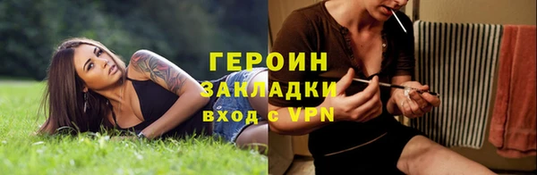 дживик Ельня