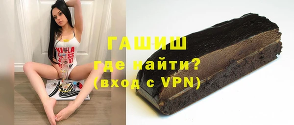 дживик Ельня