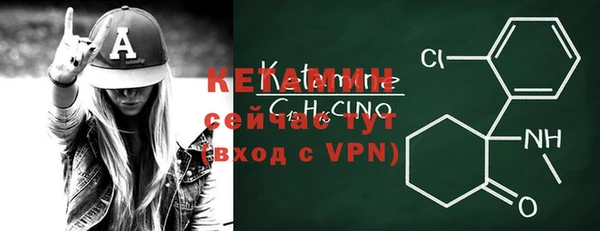 дживик Ельня