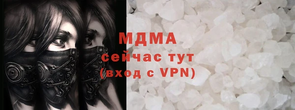 дживик Ельня
