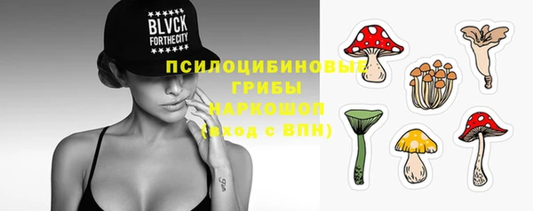 дживик Ельня