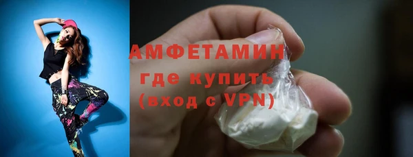 дживик Ельня
