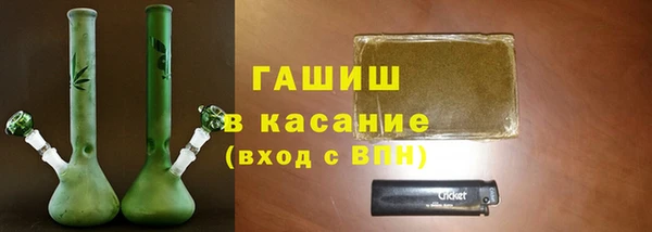 дживик Ельня