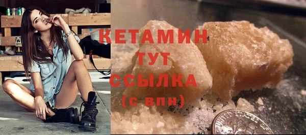дживик Ельня