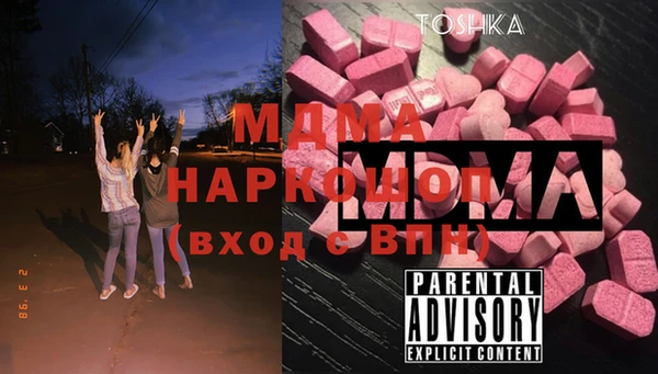 дживик Ельня