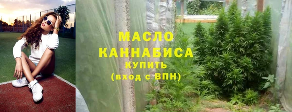 дживик Ельня