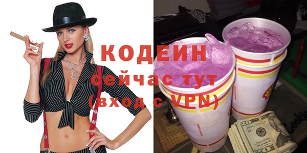 дживик Ельня
