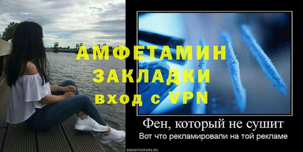 дживик Ельня