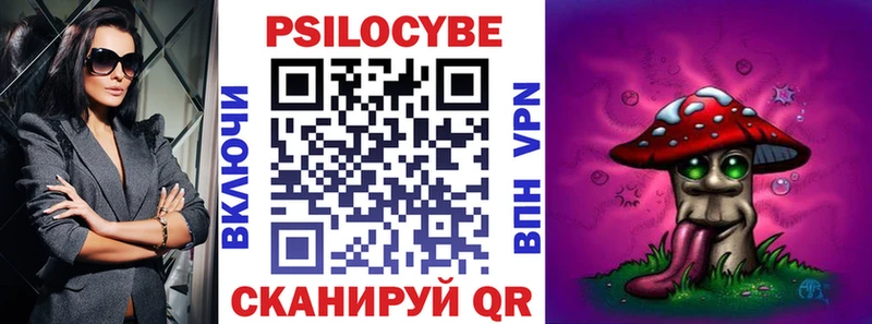 Галлюциногенные грибы Psilocybe Жуков